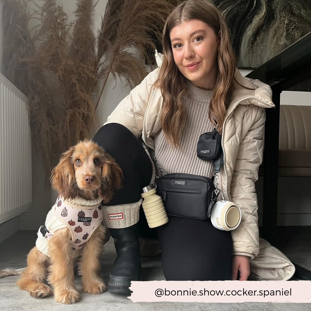 Collapsible Water Bottle Travel Bottle for You & Your Dog