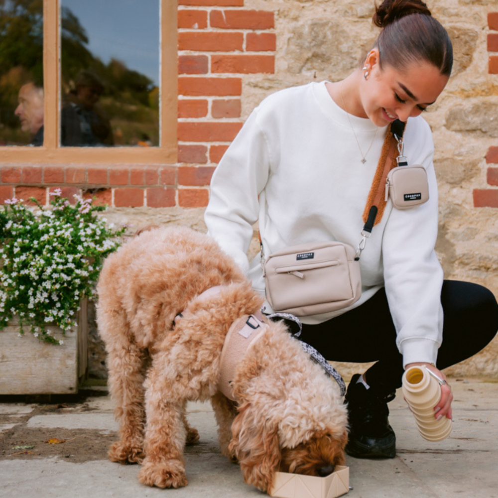 Collapsible Water Bottle Travel Bottle for You & Your Dog