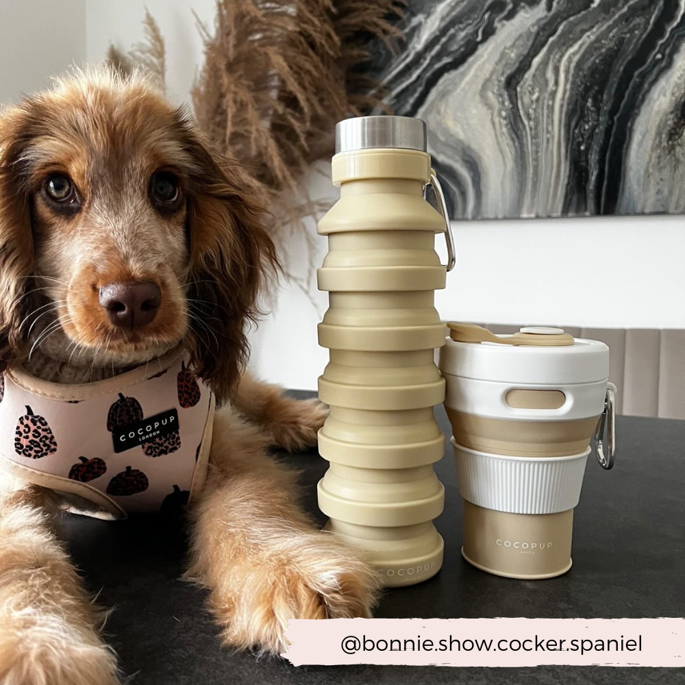 Collapsible Water Bottle Travel Bottle for You & Your Dog