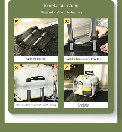 Portable Pet Trolley Travel Case with Capsule Window