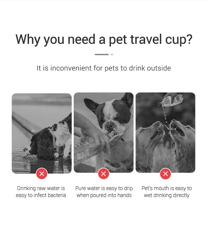 Buddy Portable Dog Water Bottle – Leakproof Travel Drinking Bottle for Dogs & Cats