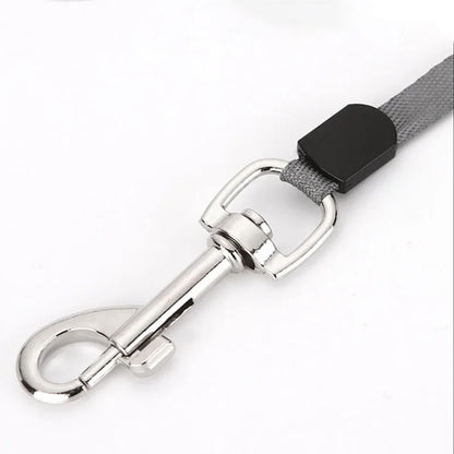 Max Automatic Nylon Lead for Small & Medium Pets