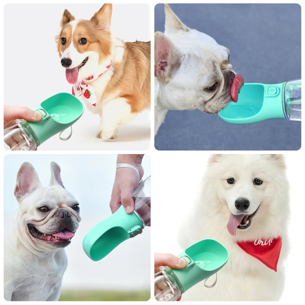 Buddy Portable Dog Water Bottle – Leakproof Travel Drinking Bottle for Dogs & Cats