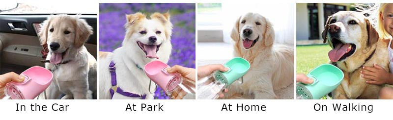 Buddy Portable Dog Water Bottle – Leakproof Travel Drinking Bottle for Dogs & Cats