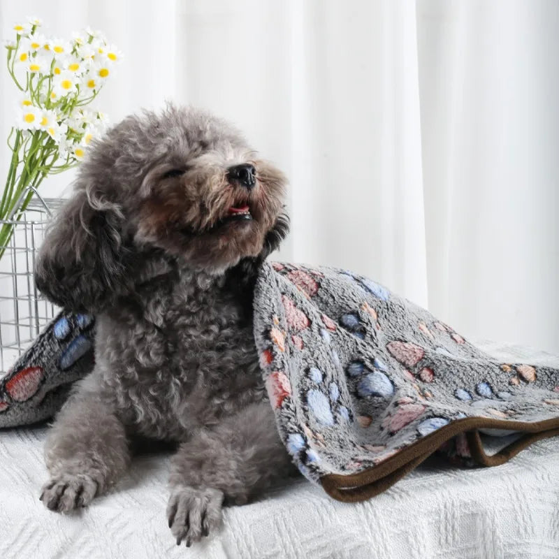 Daisy Soft Fluffy Pet Blanket – Warm Coral Fleece Paw Print Mat