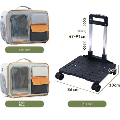 Portable Pet Trolley Travel Case with Capsule Window