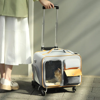 Portable Pet Trolley Travel Case with Capsule Window