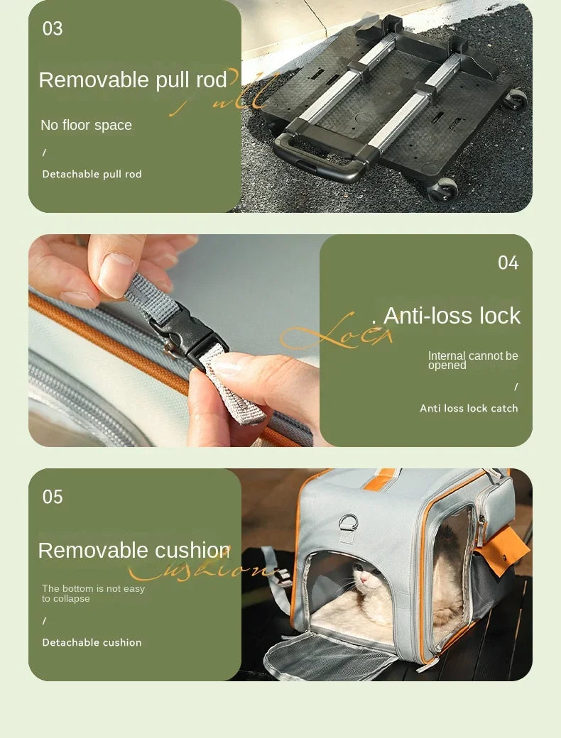 Portable Pet Trolley Travel Case with Capsule Window