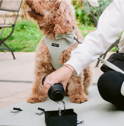 Collapsible Water Bottle – Leak-Proof Travel Bottle for You & Your Dog (Black)